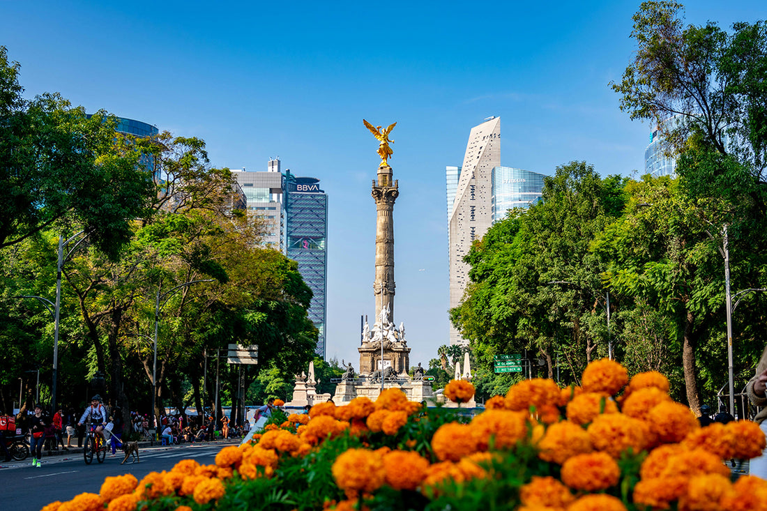 Paseo de la reforma patinaje OmniRoller