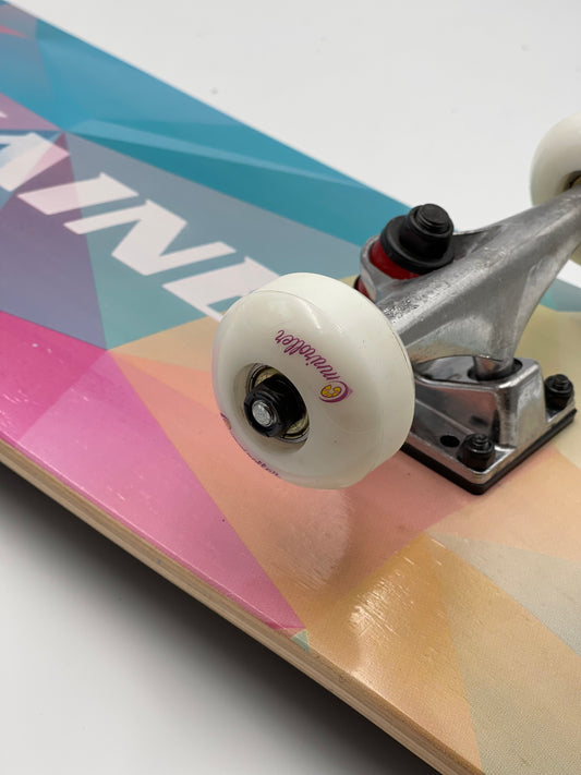 VieSaine Omni Skateboard